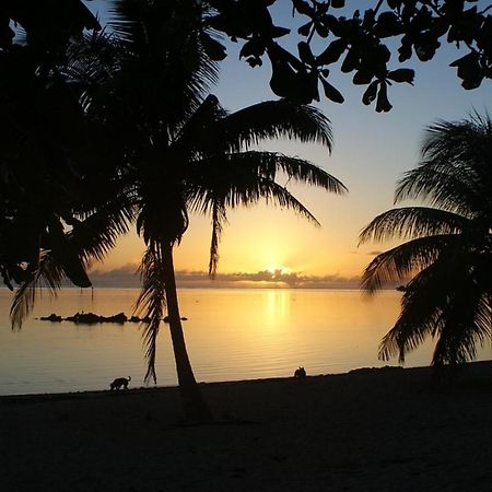 Tahiti - Taharuu Houses Surf & Beach Papara Buitenkant foto